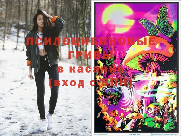МДПВ Заволжск