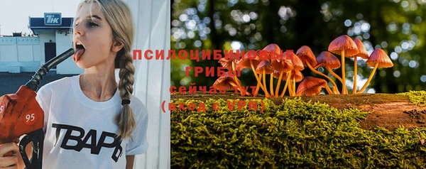 кокаин Заводоуковск