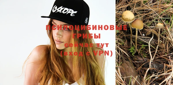 скорость Заволжье