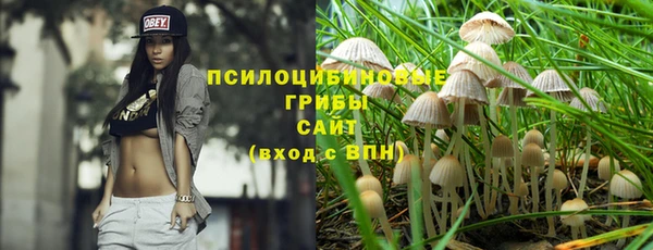 кокаин Заводоуковск