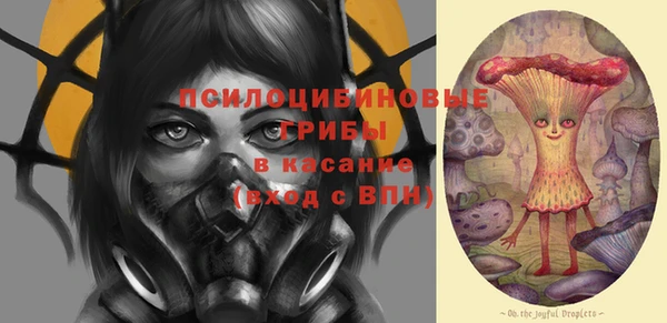 МДПВ Заволжск